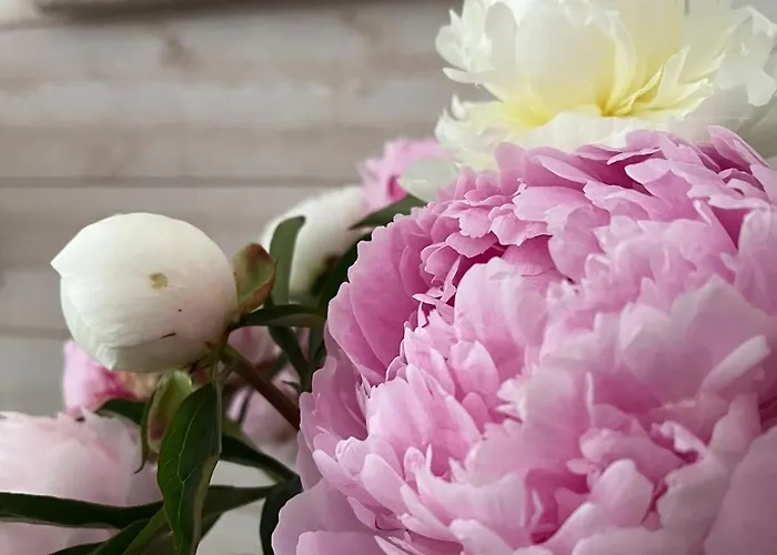 Maison Cosy 2 Avec Piscine Proche Golf *