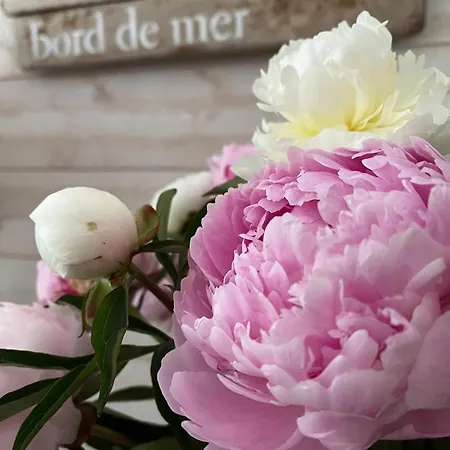 Maison 2 Avec Piscine Proche Golf *
